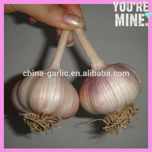 2017 new garlic in usa with best price garlic health benefits #1 image