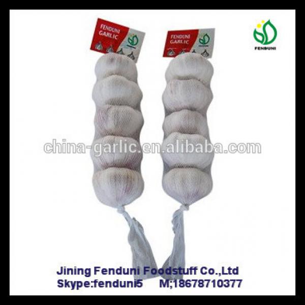 Farm china cheap garlic exporter shandong garlic with great price #1 image