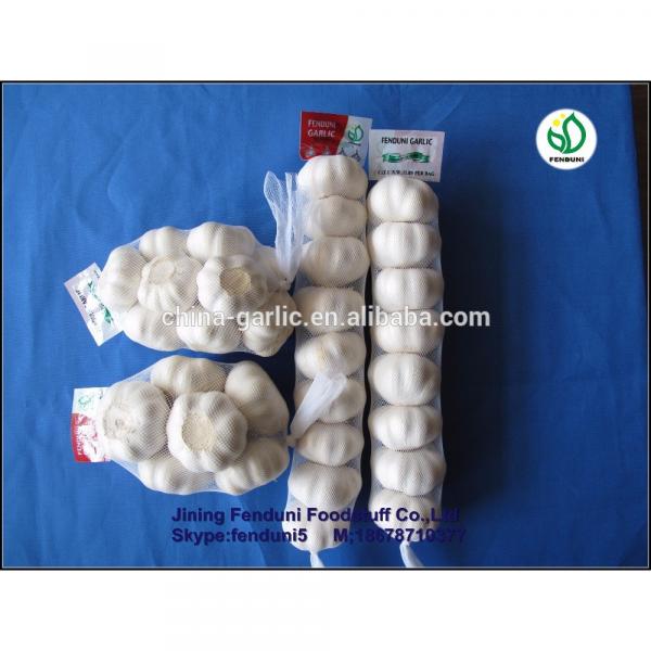 2017 Natural garlic 50mm with high quality and best price #4 image