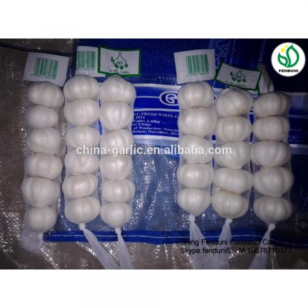 Farm china cheap garlic exporter shandong garlic with great price #3 image