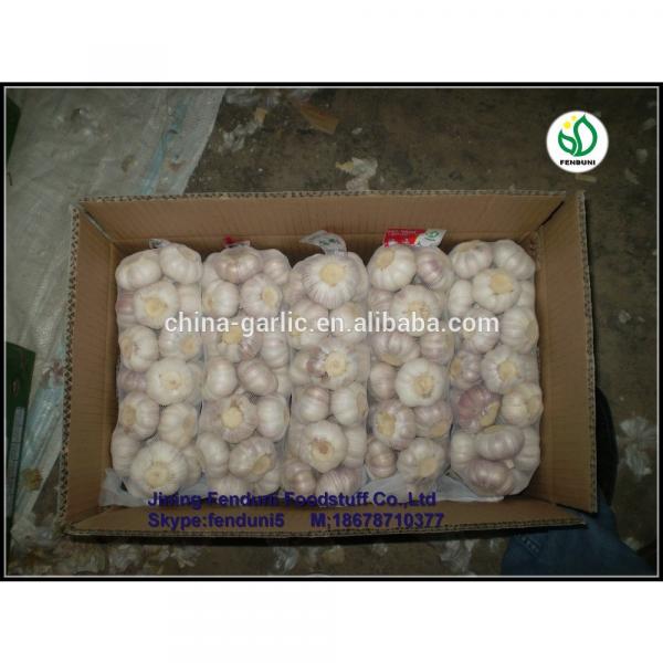 2017 Natural garlic 50mm with high quality and best price #5 image