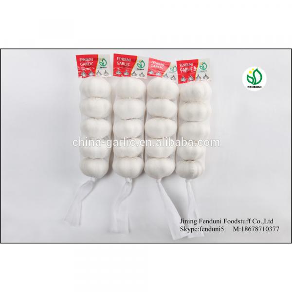 Pure White Garlic From China With 2p;3p;4p;5p;7p 9kg/carton 10kg/carton 20kg/carton #4 image