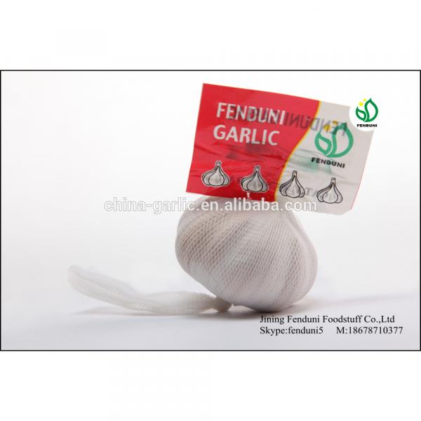 China White Fresh Garlic Small Packaging 6p/5p/4p/3p/2p/1p garlic #1 image