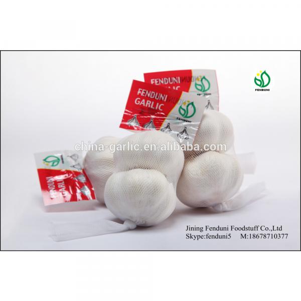 China White Fresh Garlic Small Packaging 6p/5p/4p/3p/2p/1p garlic #2 image