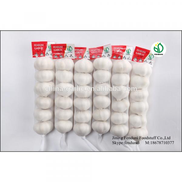 China White Fresh Garlic Small Packaging 6p/5p/4p/3p/2p/1p garlic #6 image