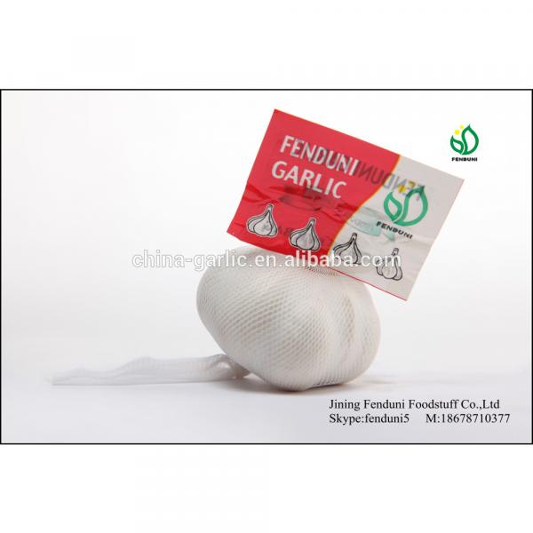 normal white garlic of 2017 crop size 5.0cm #2 image
