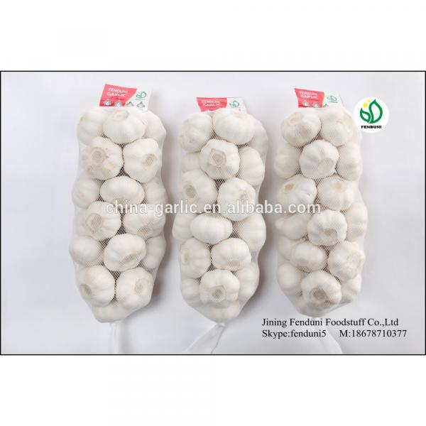 2017 crop chinese normal fresh white garlic 5/ 5.5cm #4 image