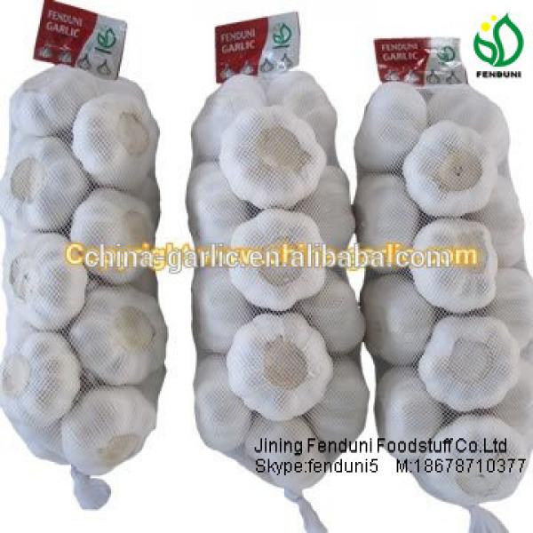chinese natural garlic on sale garlic benifit for health fresh garlic #4 image