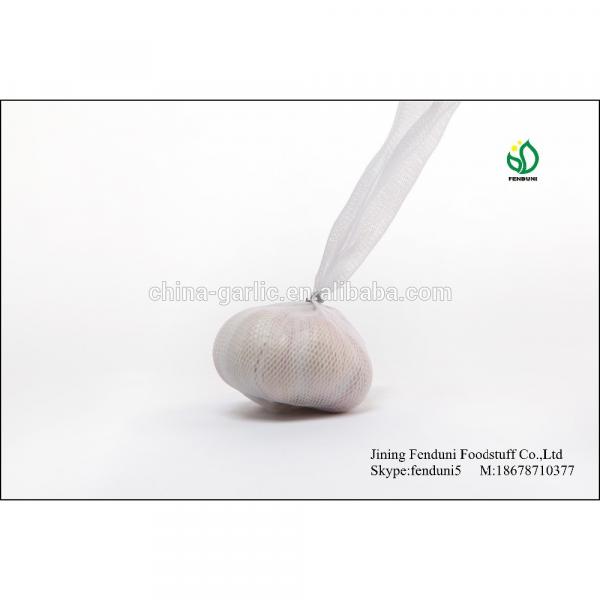 2017 fresh garlic supplier in China(4.5cm,5cm,5.5cm.6cm up) #1 image
