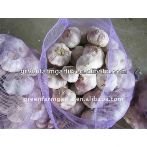2017 chinese fresh garlic #1 image