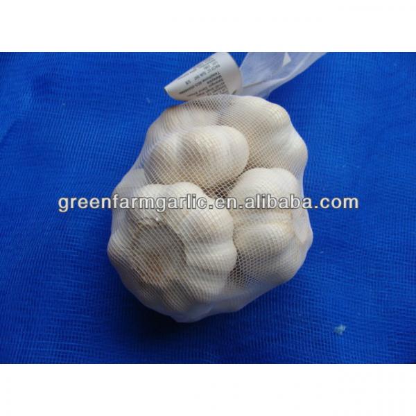 Chinese white garlic in 500g #1 image