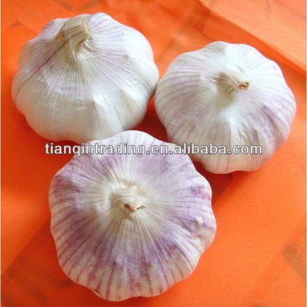 2017 fresh garlic from China #1 image