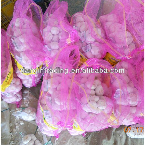 small packing garlic price 2017 #1 image