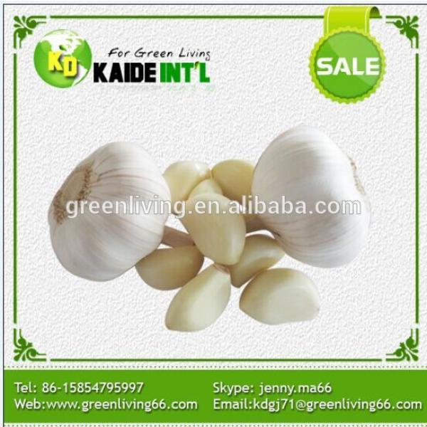 China Garlic Rates #1 image
