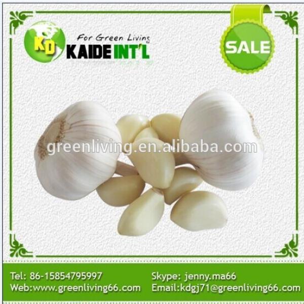 factory price normal white garlic price packed in 10kgs/ctn #1 image