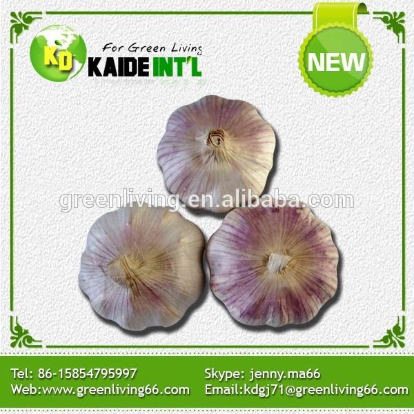 four seasons supplier wholesale peeled garlic #2 image