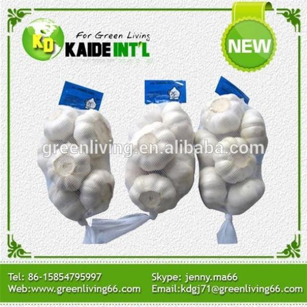 factory price normal white garlic price packed in 10kgs/ctn #2 image