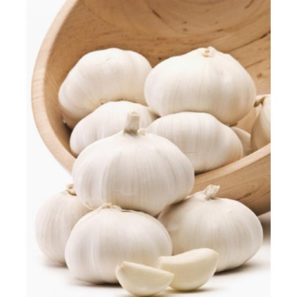 alibaba China normal white garlic price #1 image