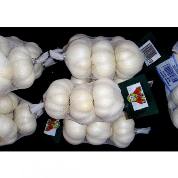 alibaba China normal white garlic price #4 image