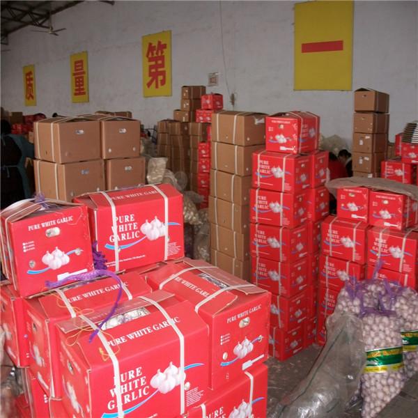 CHINA GARLIC WITH 10KG LOOSE CARTON PACKAGE #2 image