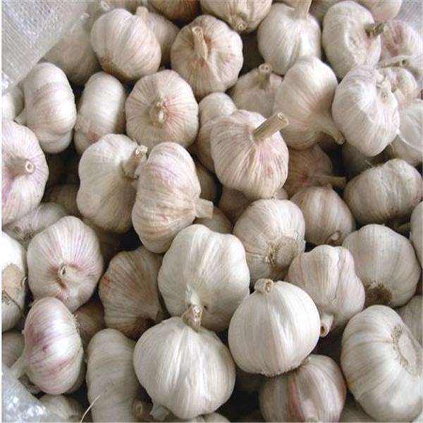 NORMAL WHITE GARLIC RAW MATERIAL FROM CHINA #2 image