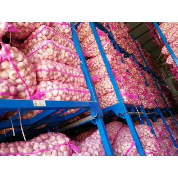 NEW CROP GARLIC WITH KOREAN STANDARD FROM CHINA #2 image