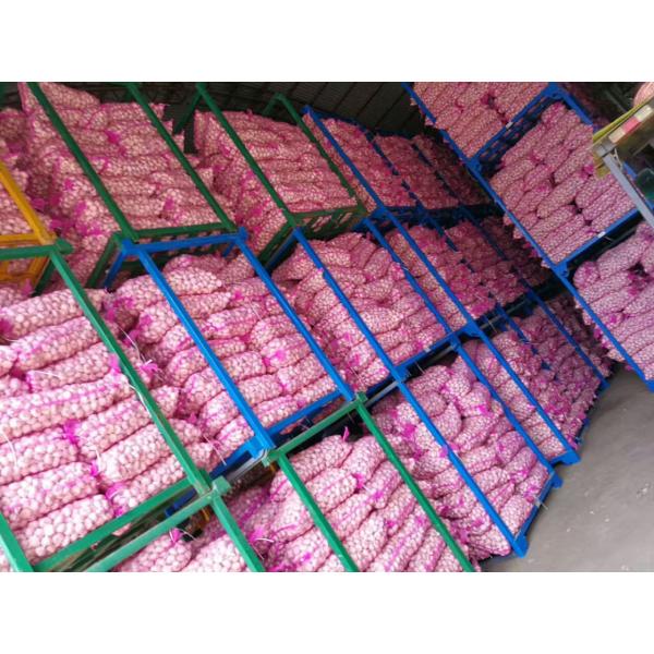 NEW CROP GARLIC WITH KOREAN STANDARD FROM CHINA #1 image