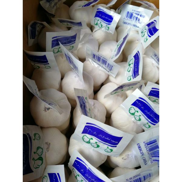 PURE WHITE GARLIC WITH 200G PACKAGE TO TURKEY FROM CHINA #4 image