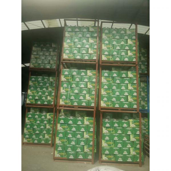 10KG LOOSE CARTON PACKAGE FOR COLOMBIA MARKET #1 image