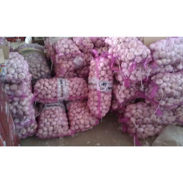 China fresh garlic exported to Thailand market #5 image