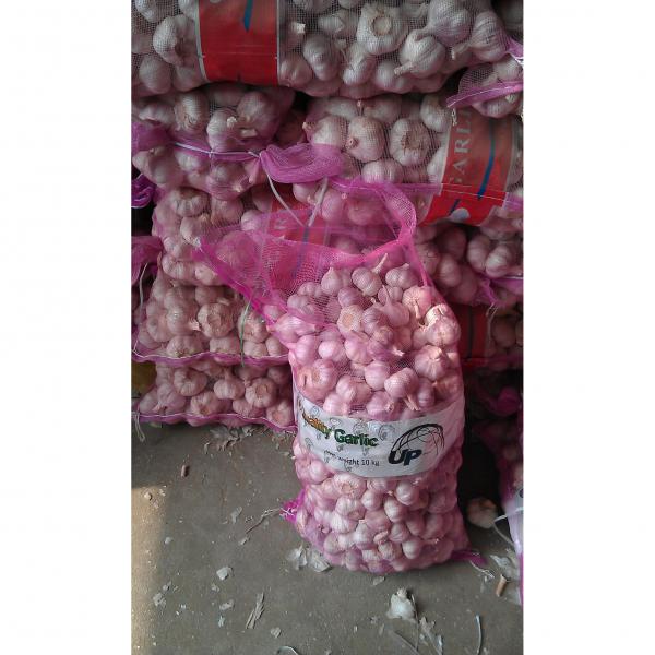 China fresh garlic exported to Thailand market #1 image