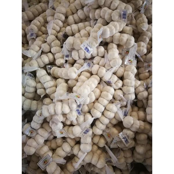 2018 New Crop chinese fresh garlic #2 image