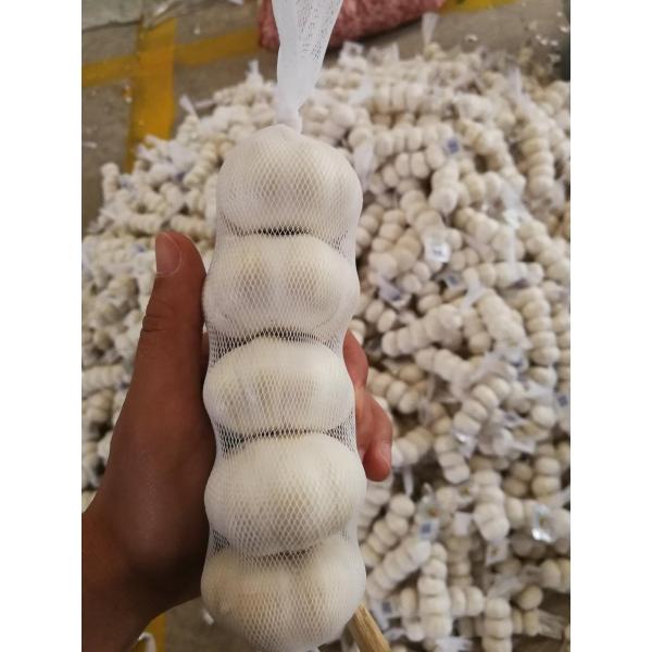 2018 New Crop chinese fresh garlic #3 image