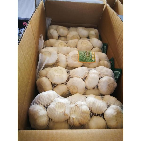 2018 pure white garlic to Japan Market with 500g/bag #1 image