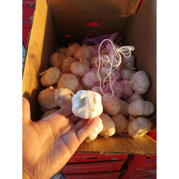 2018 China pure white garlic with 10KG loose package to Angola Market #2 image