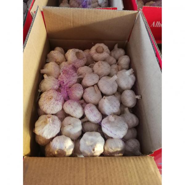 2018 China pure white garlic with 10KG loose package to Angola Market #4 image