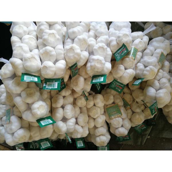 2018 pure white garlic with 500g*20 bags carton package to Japan Market #1 image