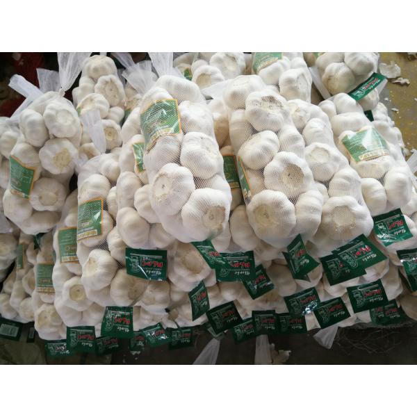 2018 china pure white garlic with 500g*20 bags carton package to Japan Market #1 image