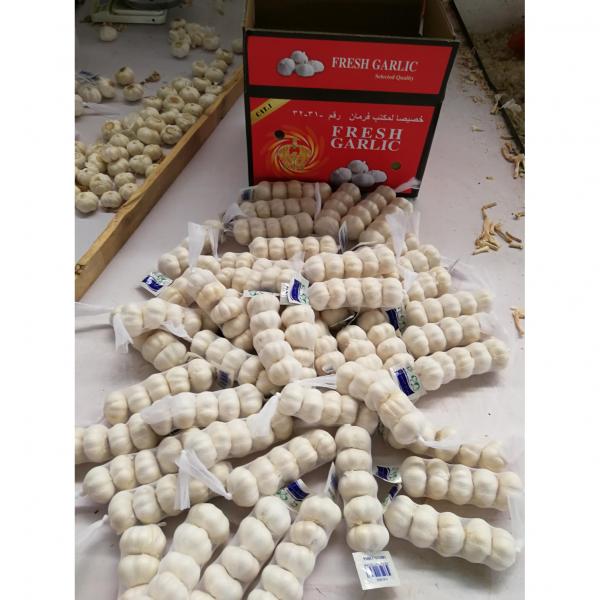 2018 china pure white garlic with 200g tube package to Midddle East Market #2 image