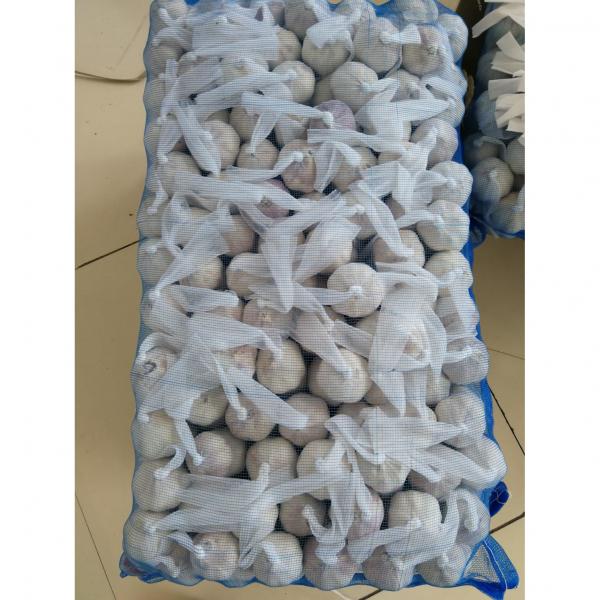 2018 Normal white garlic with meshbag& carton package to Russia Market #5 image
