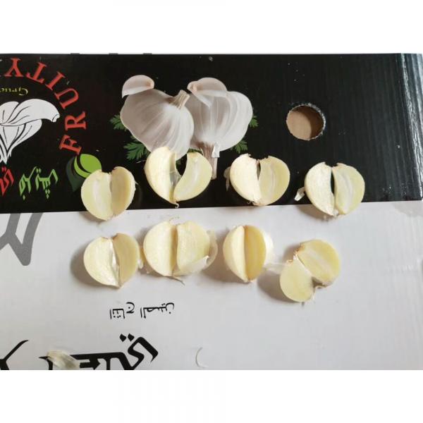 pure white garlic with meshbag& carton package to Iraq Market from china ,2018 #4 image