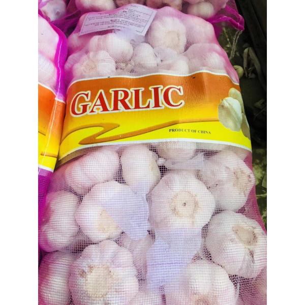 China Normal white garlic with meshabg package to Asia Market #4 image