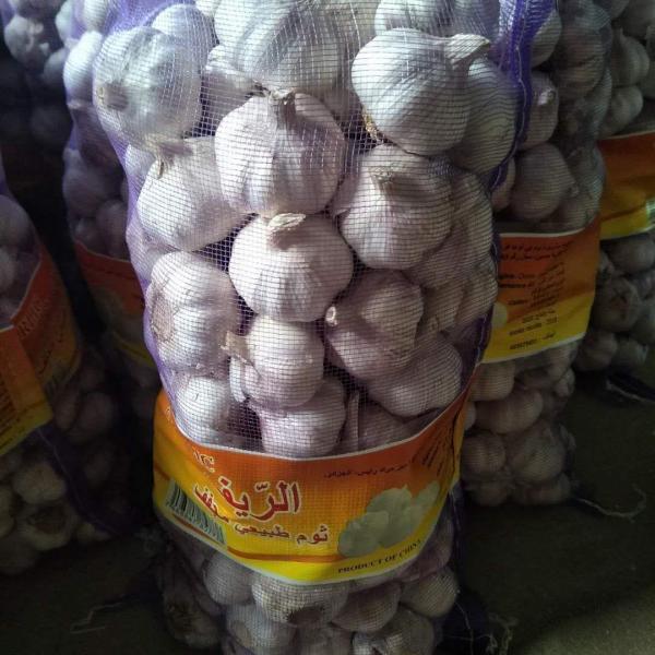 5cm Normal white garlic with 5kg meshabg package to Algeria market from china ,2018 #5 image