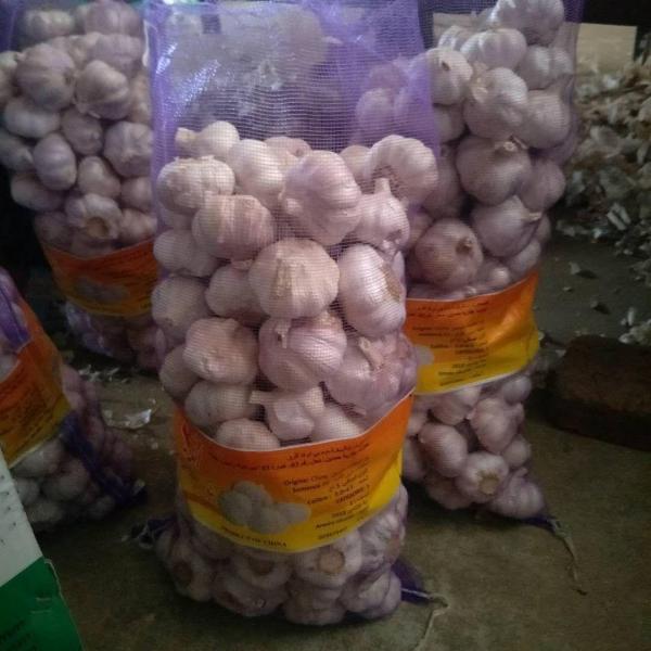 5cm Normal white garlic with 5kg meshabg package to Algeria market from china ,2018 #1 image