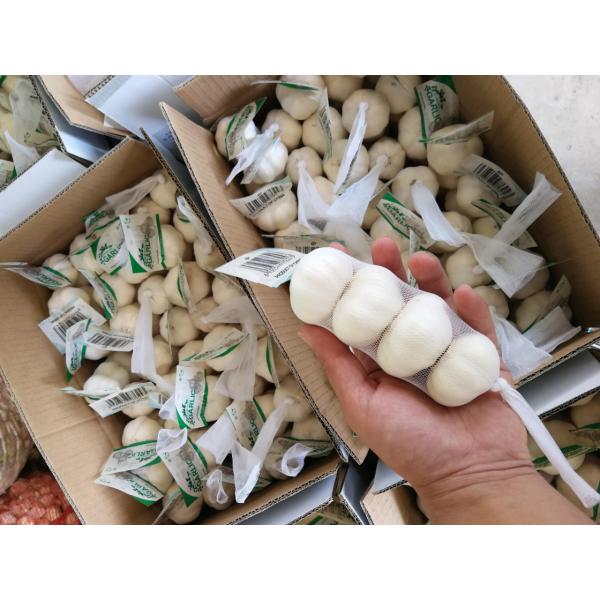 china Pure white garlic with small package to Iraq market . #2 image