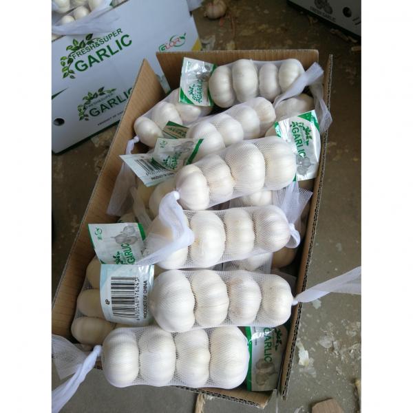 2018 china Pure white garlic with small package to Iraq market #4 image