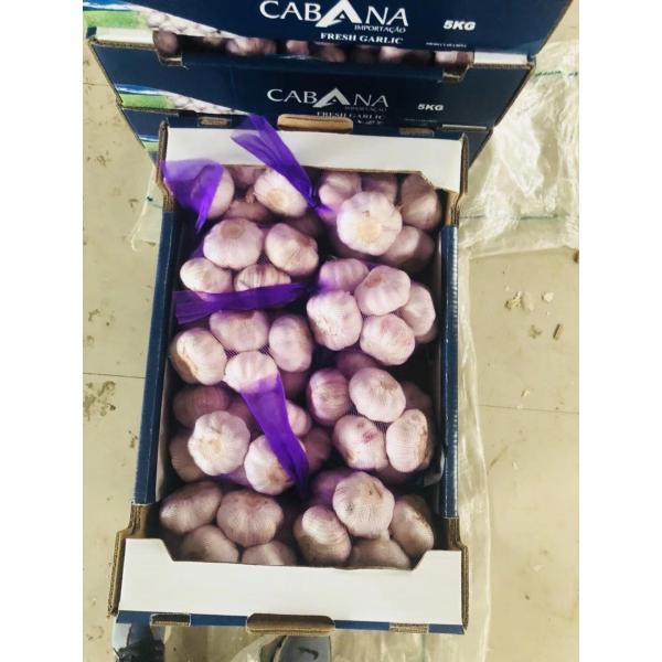 2018 china garlic with 5kg carton package to Brazil market #1 image
