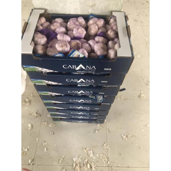 2018 china garlic with 5kg carton package to Brazil market #3 image