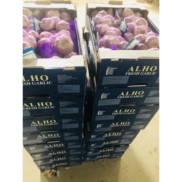 2018 china garlic with 5kg carton package to Brazil market #4 image