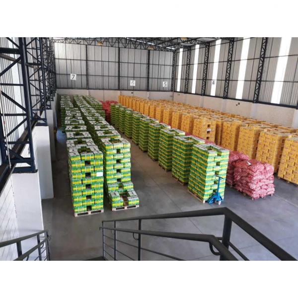 Cold storage china Garlic to Brazil Market #4 image